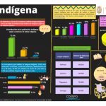 Hoja de datos de la mujer Indígena Guerrerense