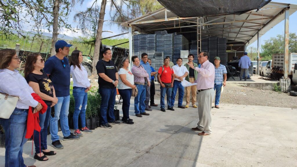 El gobierno de Guerrero inicia donación de 300 mil árboles