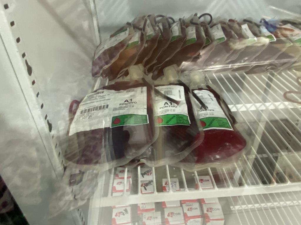 Donar sangre, salva vidas: SSG
