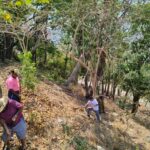 Se realiza limpieza en el Cerro del Mogote en el Parque Papagayo