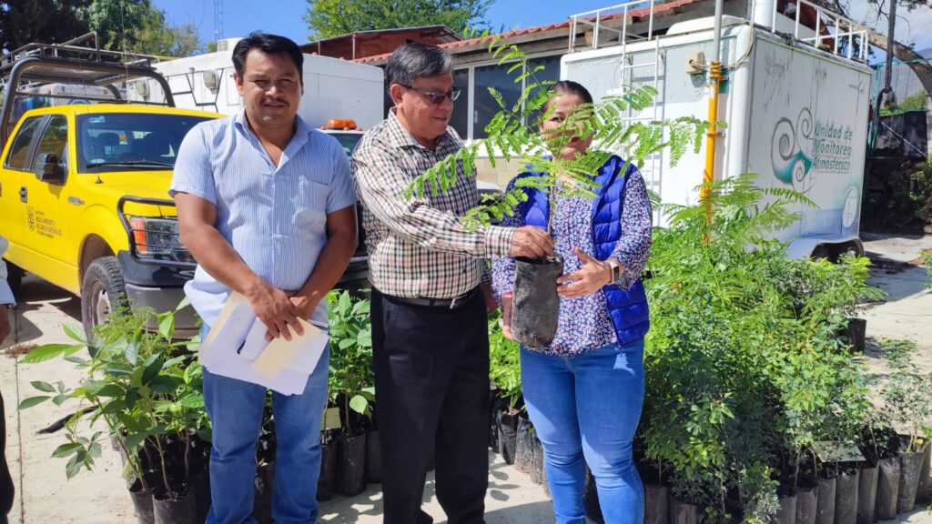 Semaren entrega 4 mil 500 árboles a organizaciones y autoridades para reforestar y controlar el cambio climático: Almazán Juárez