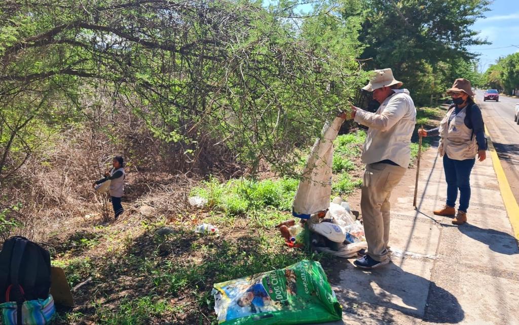 Llama Salud a la población a continuar con las medidas de prevención para evitar el mosco transmisor del Dengue