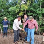 Reforestan áreas verdes y urbanas en el municipio de Tepecoacuilco