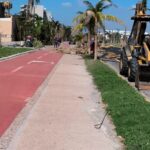 En el bulevar Bonfil de Acapulco personal de Obras Públicas continúan levantando el material vegetativo
