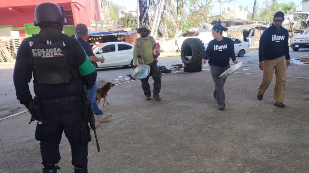 Supervisan afectaciones en los campamentos tortugueros en Acapulco y Coyuca