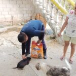 Continúan la entrega de alimento donado por SEMAREN y UAGro para perros y gatos