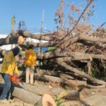 Personal de SEMAREN continúa apoyando en labores de limpieza y retiro de troncos en las instalaciones del Parque Papagayo de #Acapulco