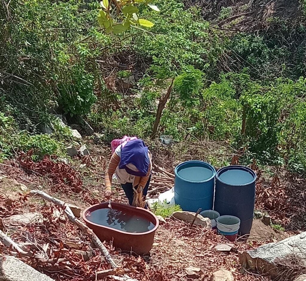 Refuerza la SSG acciones de control larvario contra el dengue en Guerrero