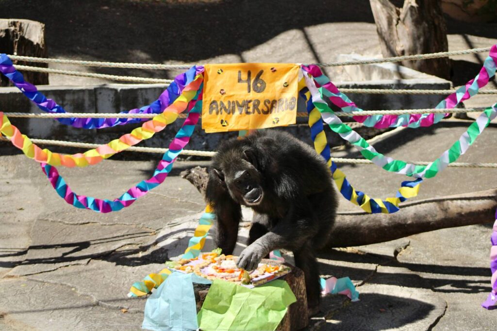 Celebran niñas y niños de Guerrero el 46 aniversario del Zoochilpan