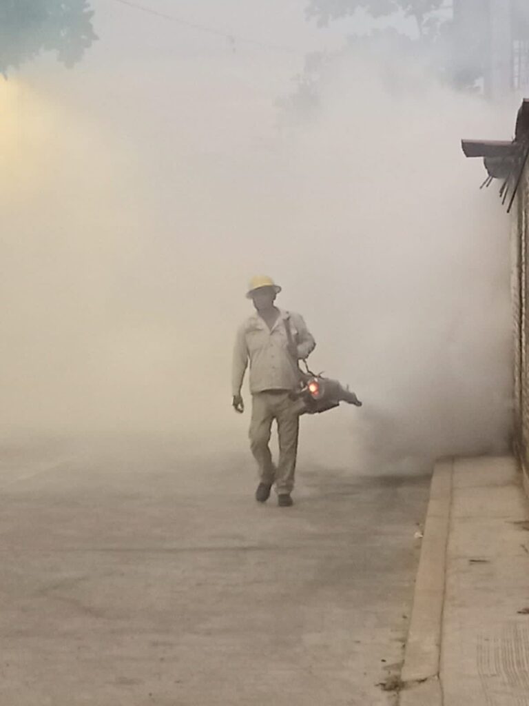 Registra Guerrero disminución de casos de dengue: SSG