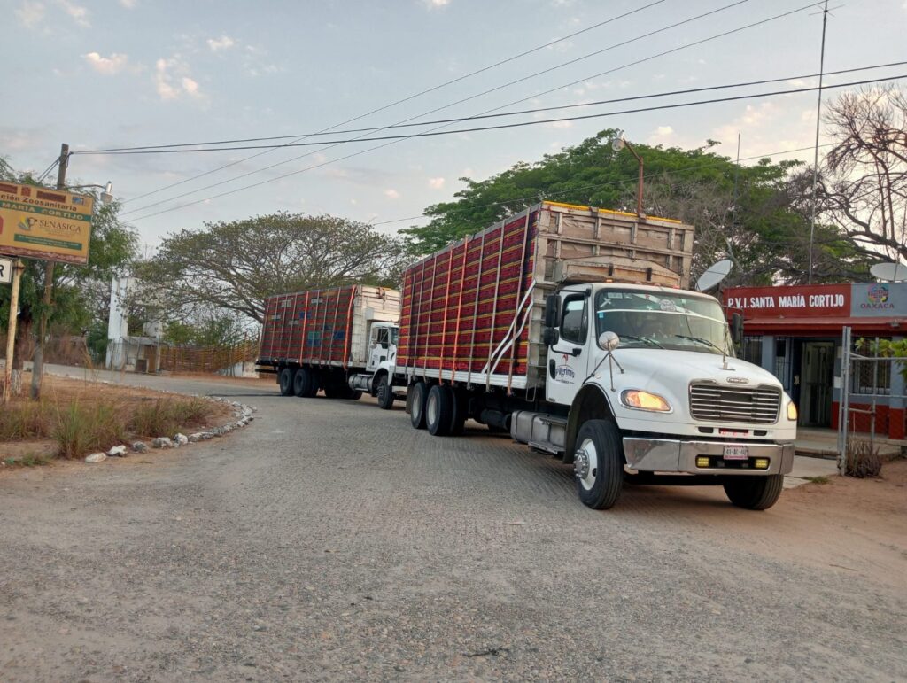 EN MAYO SE REALIZARON 2 MIL 283 REVISIONES DE CARGA PECUARIA EN GUERRERO: SAGADEGRO