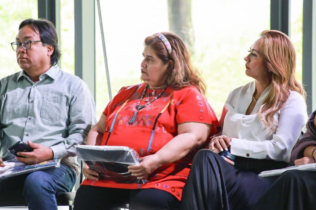 “Guerrero participará en el Festival Tengo un Sueño 2024”, en la Ciudad de México