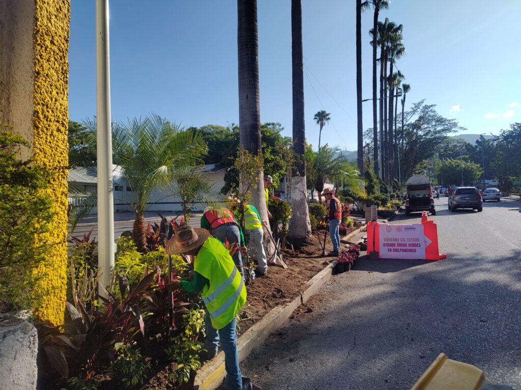 Gobierno de Guerrero moderniza Chilpancingo con el programa de mejoramiento de áreas verdes