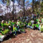 Inicia CAPASEG acciones de reforestación para recuperación de bosque; planta 800 árboles en la sierra de Chilpancingo