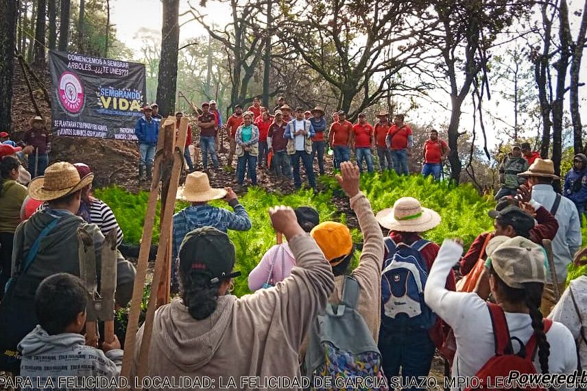 Llega la Campaña Reforestando Guerrero a Acapulco, Chilpancingo y Teloloapan