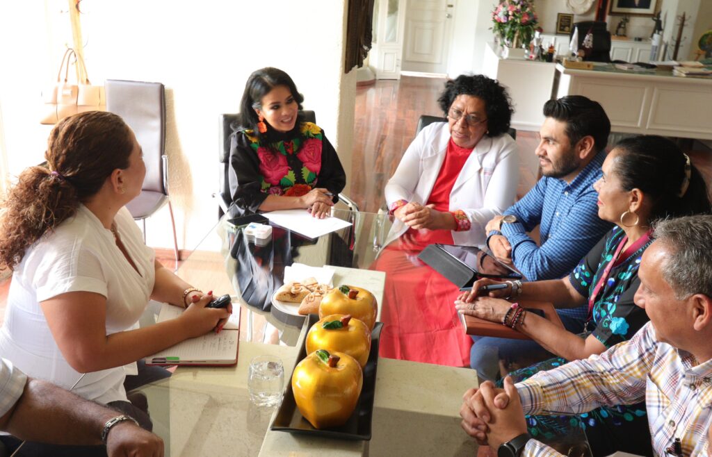 Presenta Salud plan de combate al dengue en Chilpancingo