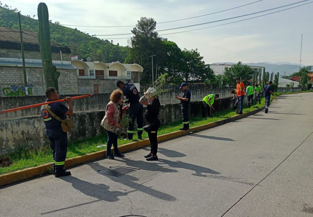 Evelyn Salgado impulsa la preservación del medio ambiente y reforestación en Chilpancingo