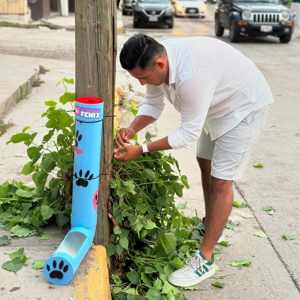 Fomenta Evelyn Salgado acciones en favor del bienestar animal en Guerrero
