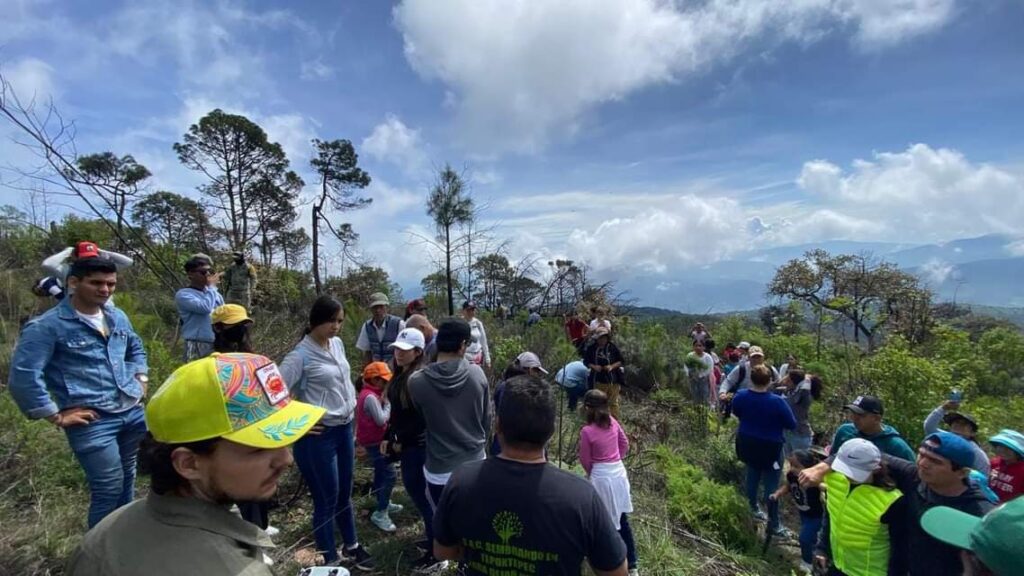 El Consejo Consultivo Ciudadano de Restauración y Protección de los Ecosistemas de Guerrero, realizó la plantación de 2 mil árboles