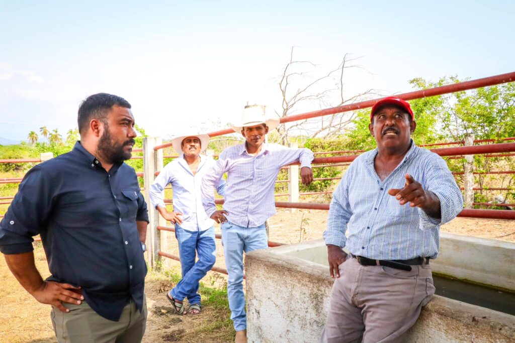 Fortalece el gobierno de Guerrero al sector ganadero
