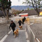 La Secretaría de Seguridad Pública Estatal, a travé de la Unidad Canina