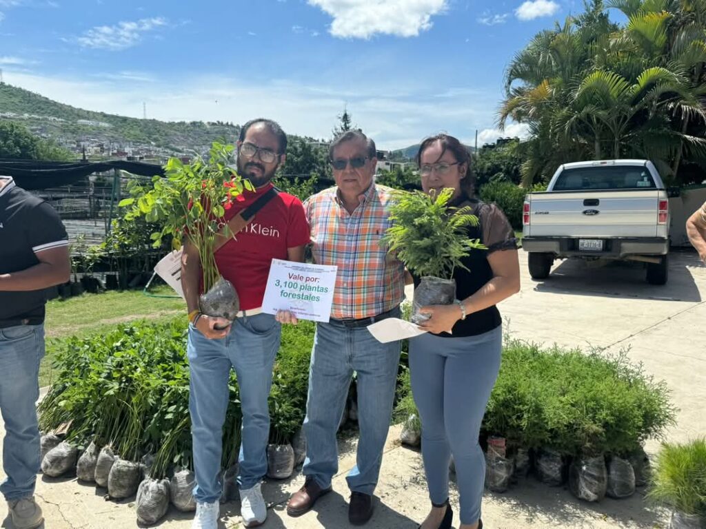 Semaren entregó, al cierre de este año, más de 242 mil plantas para la realización de reforestaciones