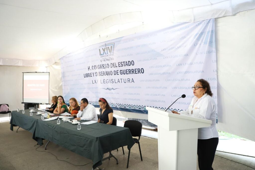 En Guerrero trabajamos con instancias gubernamentales y organizaciones sociales para que las mujeres puedan vivir libres de violencia: Violeta Pino