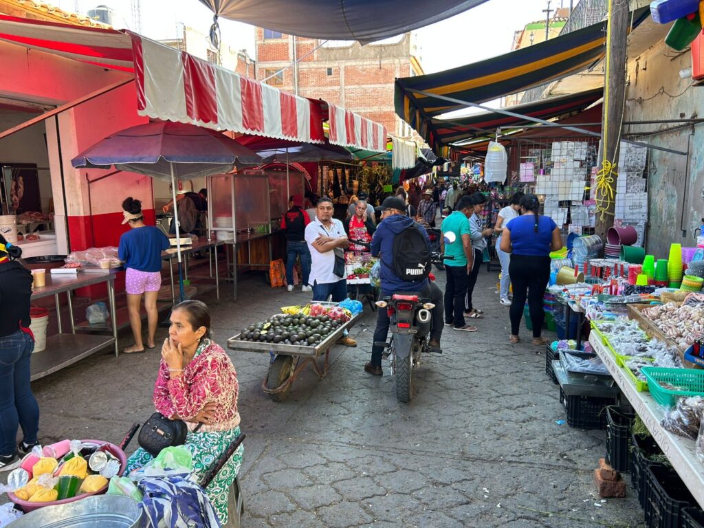 Las actividades cotidianas del municipio de Arcelia