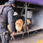 La Unidad Canina de la Policía Estatal da seguimiento a sus acciones