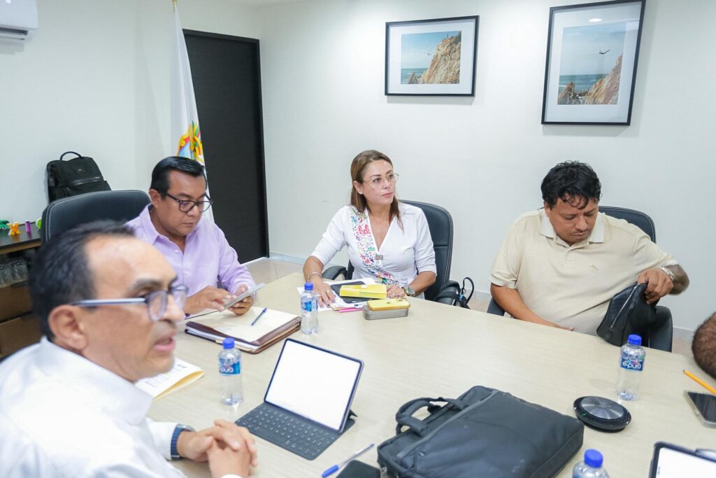 Gestiona gobierno del estado rehabilitación de la red eléctrica en la Costa Chica