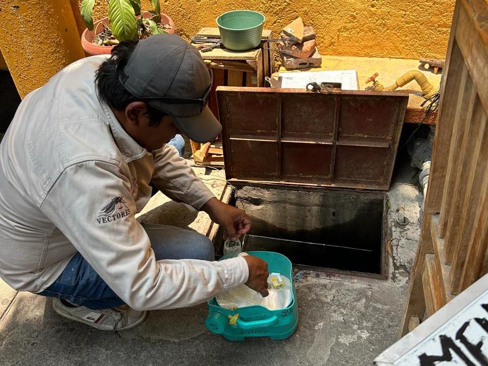 Reporta la SSG disminución de 93% en casos confirmados de dengue con respecto al 2024