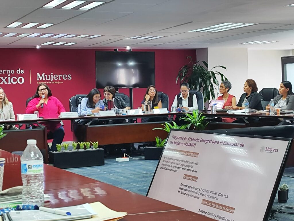 Se proyectan acciones estratégicas para el desarrollo y bienestar de las mujeres guerrerenses: Violeta Pino