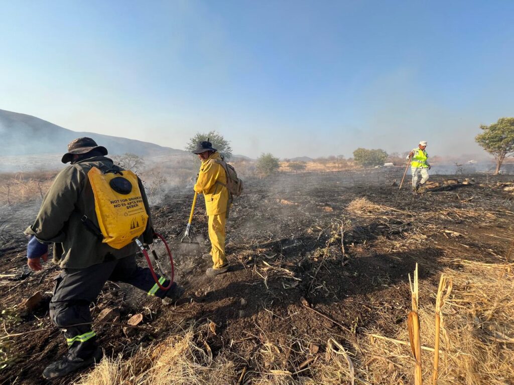 Avanza el combate al incendio forestal en Iguala: Controlado al 70% y 50% de liquidación, reportan autoridades