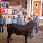 Impulsa el gobierno de Guerrero el mejoramiento ganadero en la Costa Chica