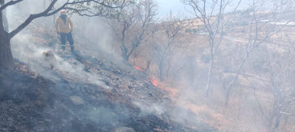 Avanza proceso de liquidación de incendio forestal de Cerro Grande de Iguala