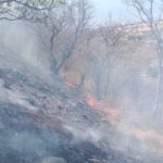Avanza proceso de liquidación de incendio forestal de Cerro Grande de Iguala