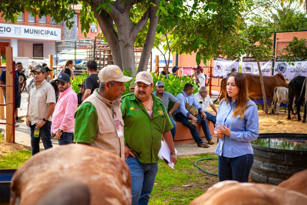 SAGADEGRO supervisa el arribo de ganado bovino previo al Tianguis Campesino de Zihuatanejo