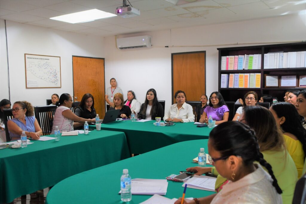 En Guerrero impulsamos iniciativas para colocar a las mujeres guerrerenses en el centro de las prioridades: Violeta Pino