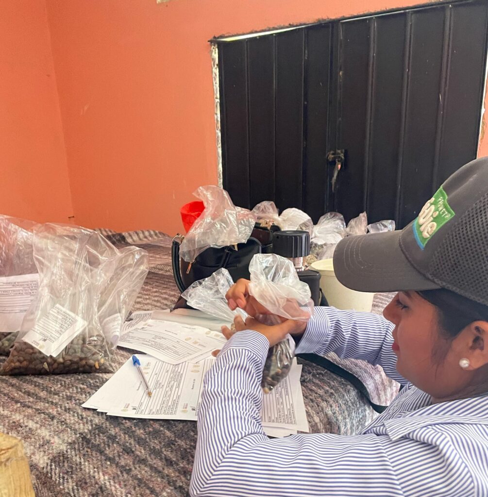 Sagadegro recolecta muestras de café para evaluación de calidad