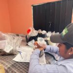 Sagadegro recolecta muestras de café para evaluación de calidad