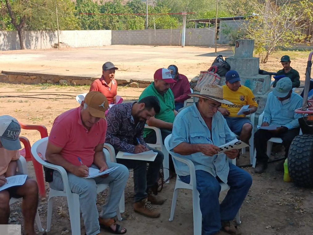 Brinda la Sagadegro en la región de la Costa Grande capacitación técnica sobre plagas y enfermedades del mango