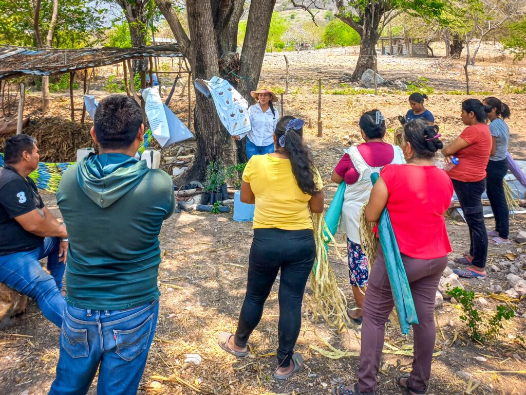 Sagadegro realiza diagnósticos de suelo en parcelas del municipio de Tixtla