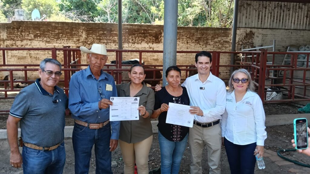 Impulsa Sagadegro la ganadería de Huitzuco con apoyo en mejoramiento genético