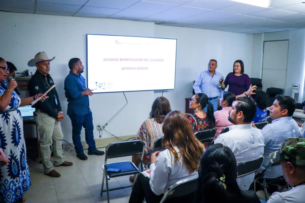 Refuerzan acciones preventivas para evitar ingreso del gusano barrenador en Guerrero
