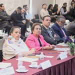 Participa SGG en Sesión de la Agenda Nacional de Derechos Humanos, convocada por la SEGOB