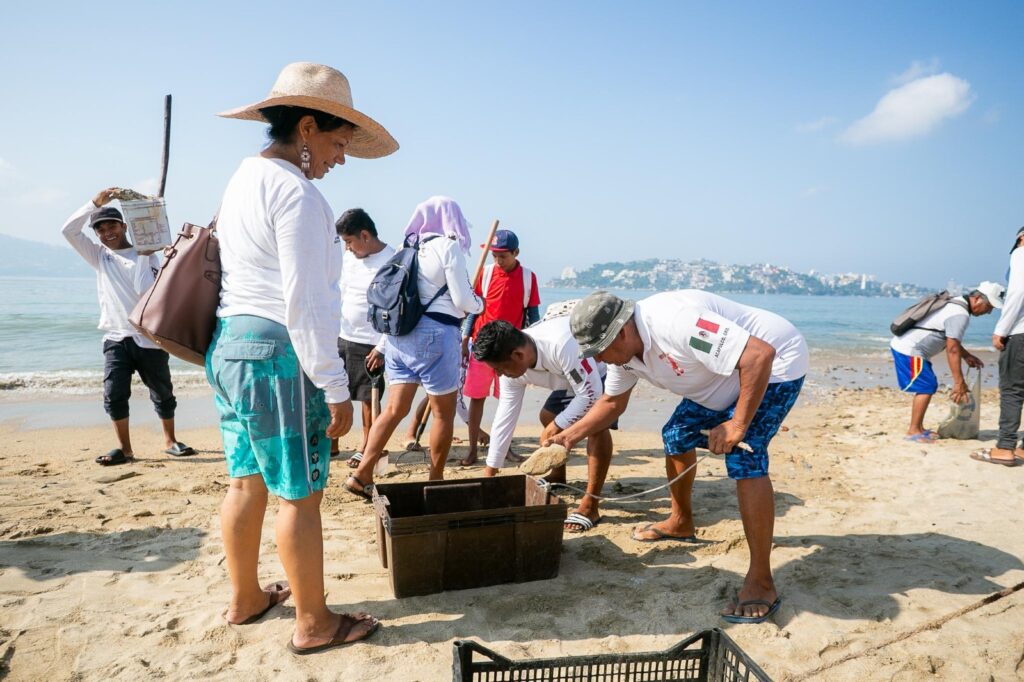 Realizan jornada de limpieza en la zona Dorada de Acapulco