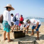Realizan jornada de limpieza en la zona Dorada de Acapulco