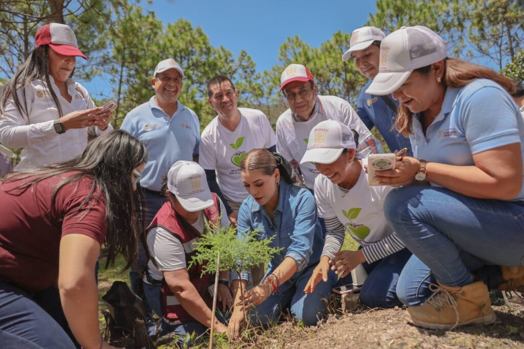La gobernadora Evelyn Salgado encabeza jornada de reforestación 2025