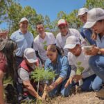 La gobernadora Evelyn Salgado encabeza jornada de reforestación 2025