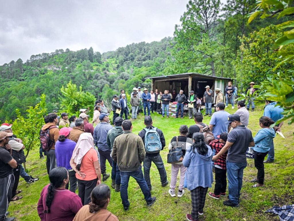 Entrega Sagadegro insumos para el control de plagas en cultivos de aguacate en Heliodoro Castillo